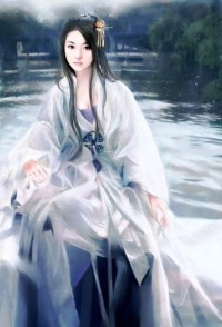 苏夕月叶辰