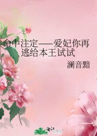 命中注定——爱妃你再逃给本王试试